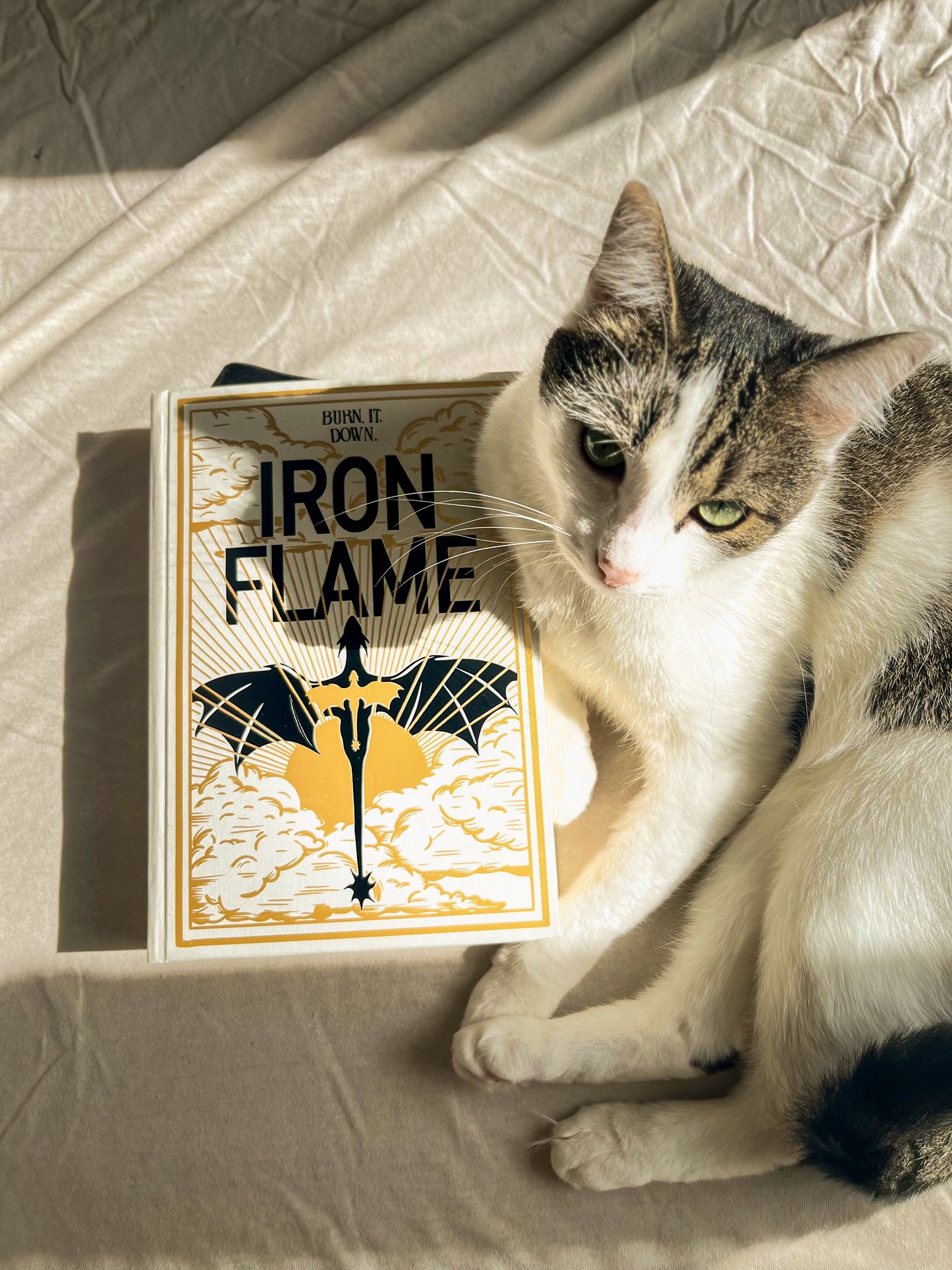 Fourth wing series - Iron Flame