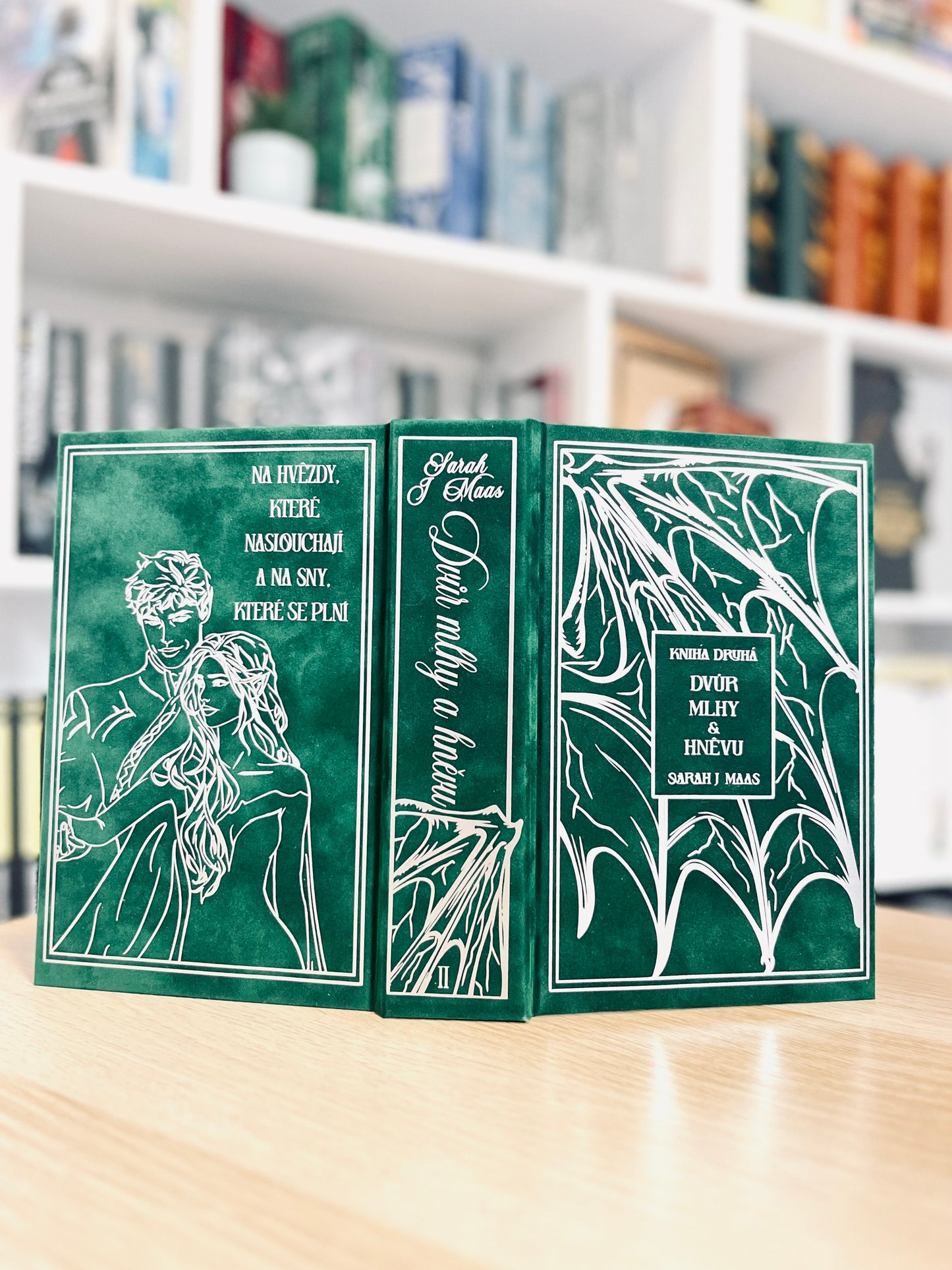 Dvůr Mlhy a Hněvu - Sarah J. Maas