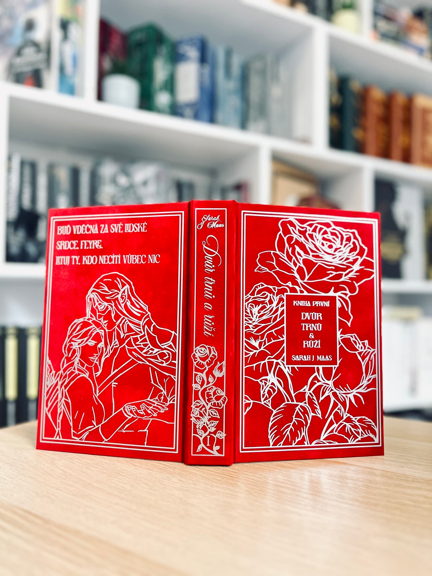 Dvůr Trnů a Růží - Sarah J. Maas