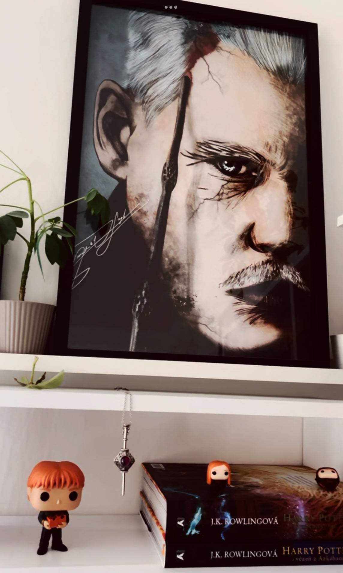 Fantastická zvířata - Grindelwald - Digitální ilustrace