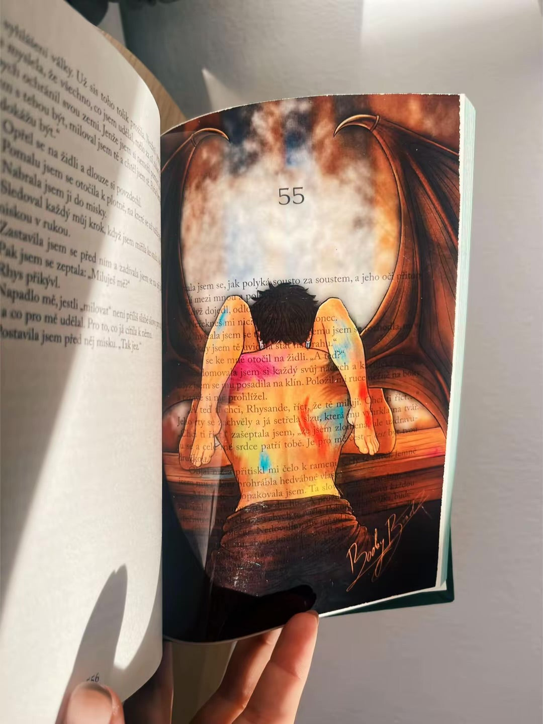 Kompletní kolekce ACOTAR - 20 overlayů