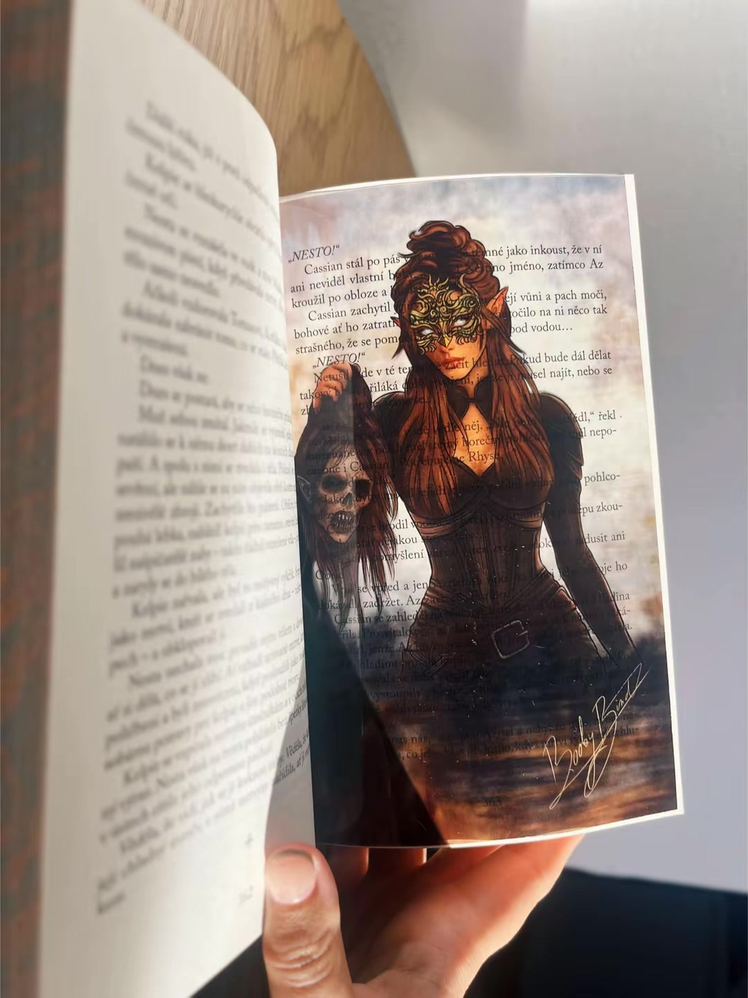 Kompletní kolekce ACOTAR - 20 overlayů