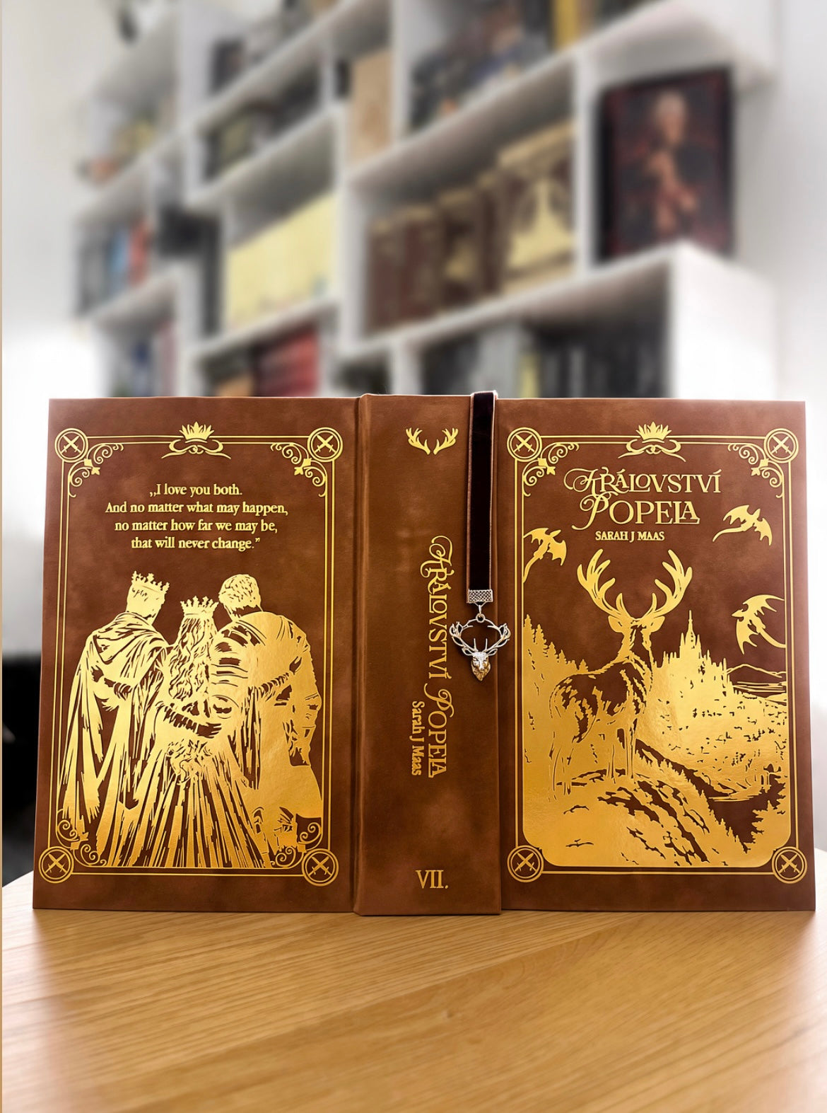 Království popela - Sarah J. Maas