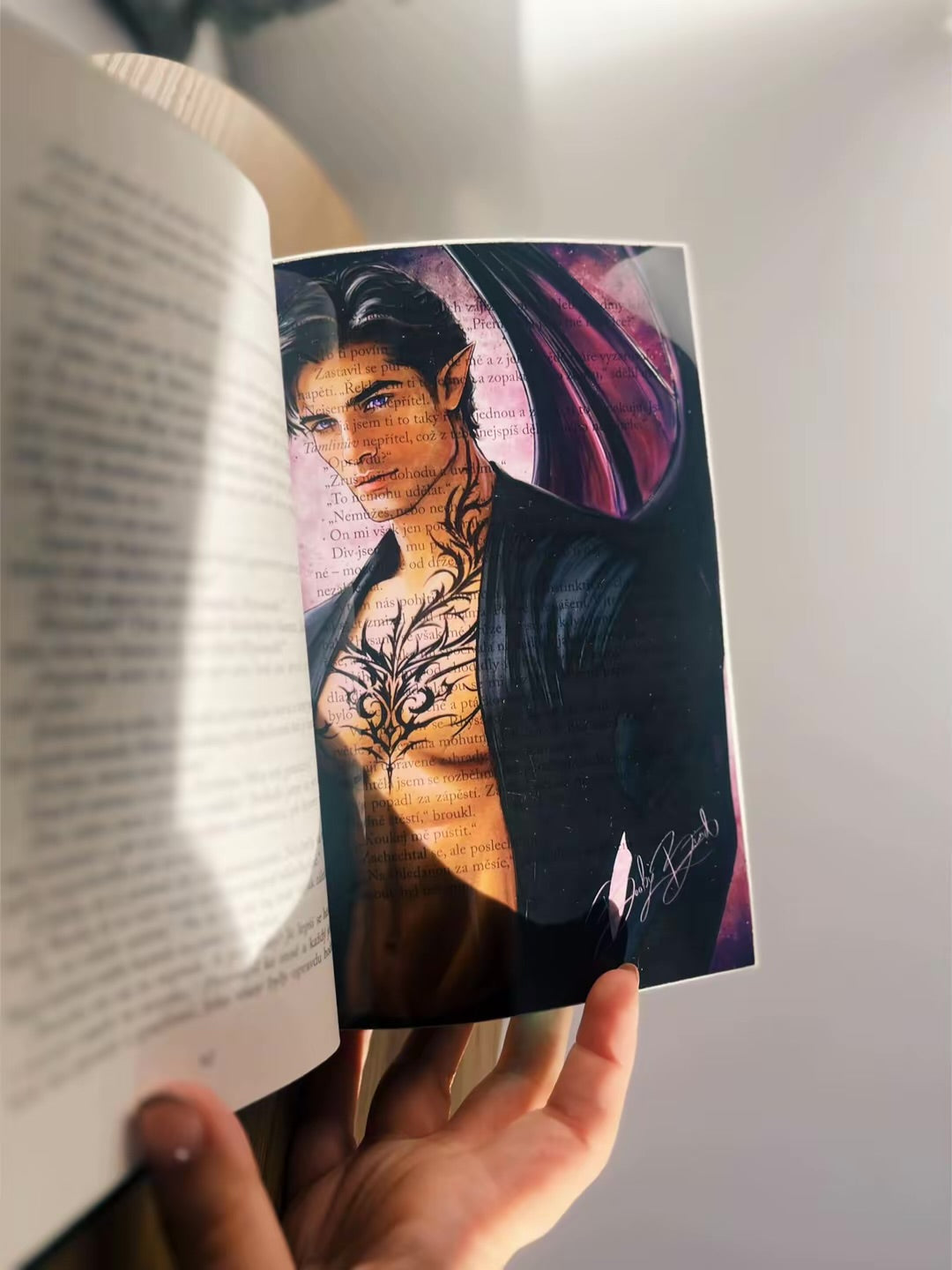 Kompletní kolekce ACOTAR - 20 overlayů