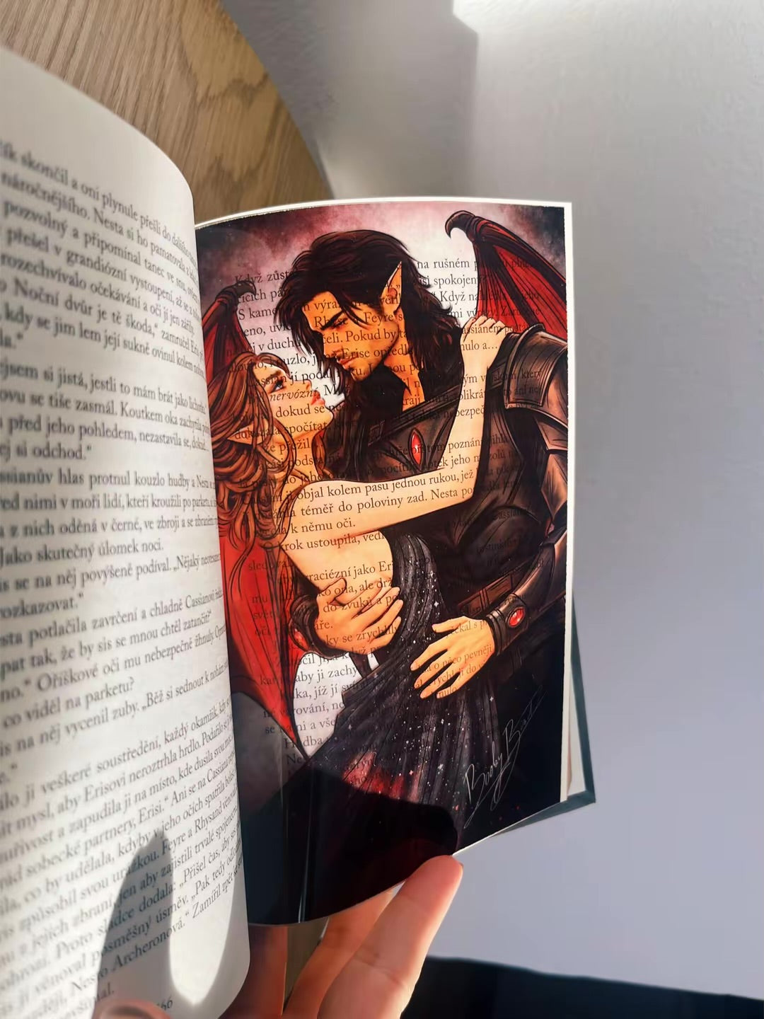 Kompletní kolekce ACOTAR - 20 overlayů