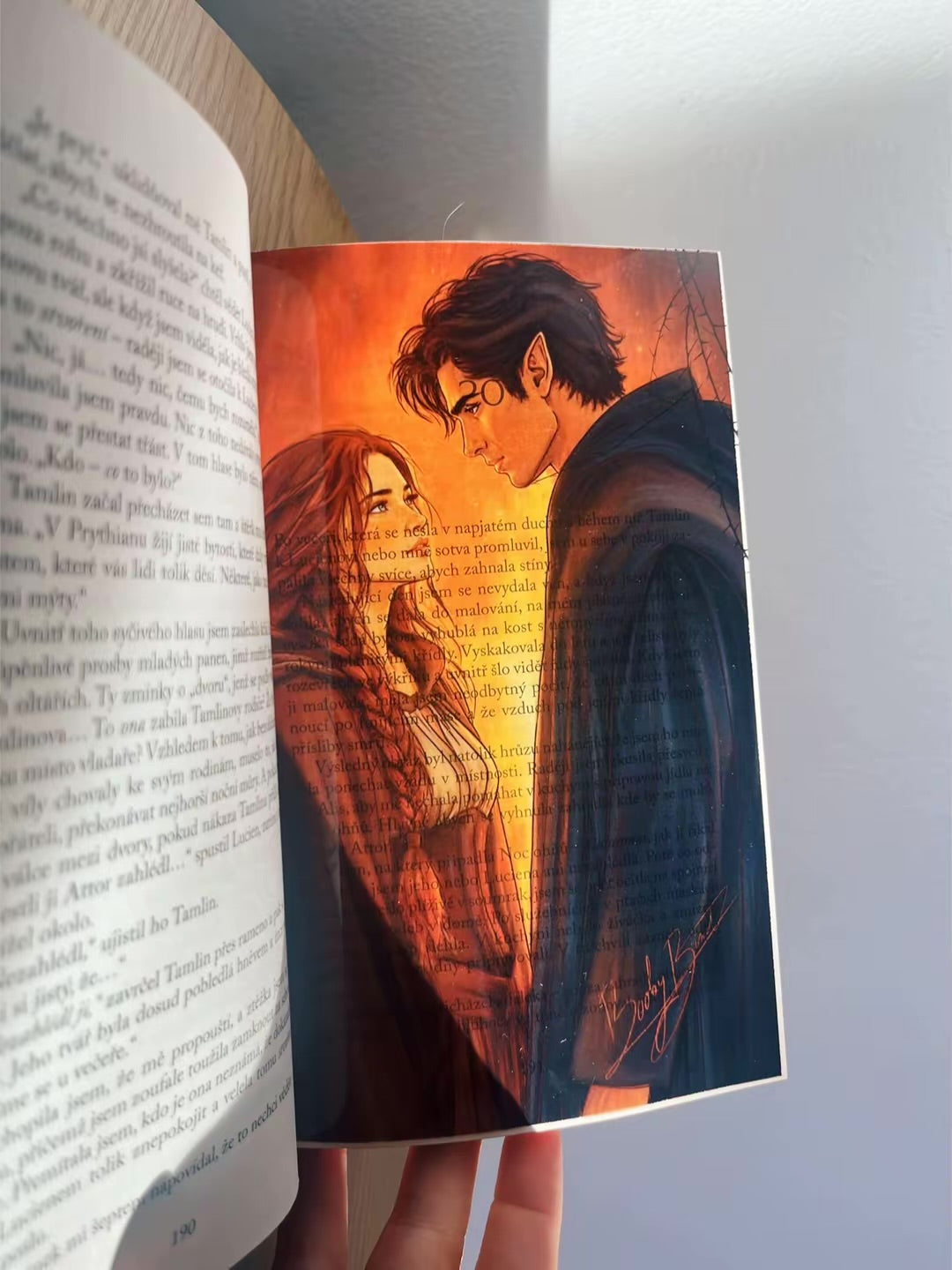 Set 5 knižních overlayů - Dvůr trnů a růží | ACOTAR