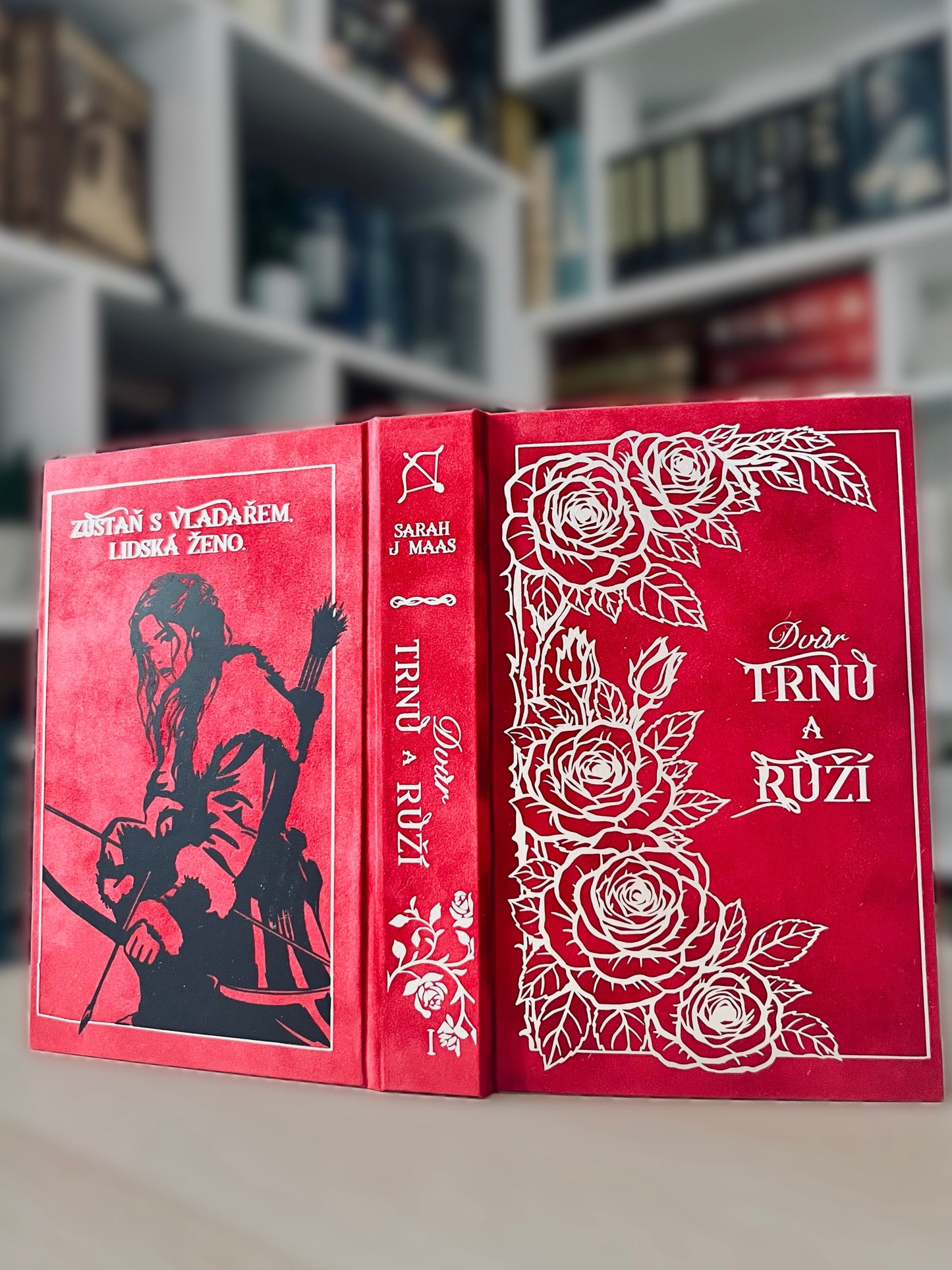 ACOTAR - Série 5 knih
