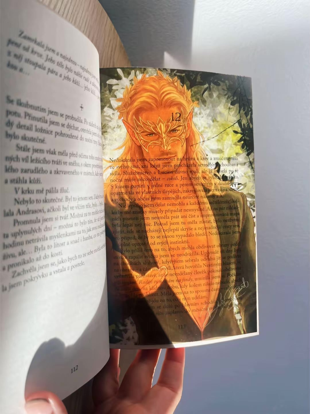 Set 5 knižních overlayů - Dvůr trnů a růží | ACOTAR
