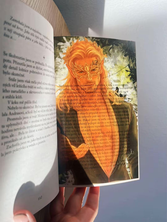 Knižní overlay - Tamlin | ACOTAR
