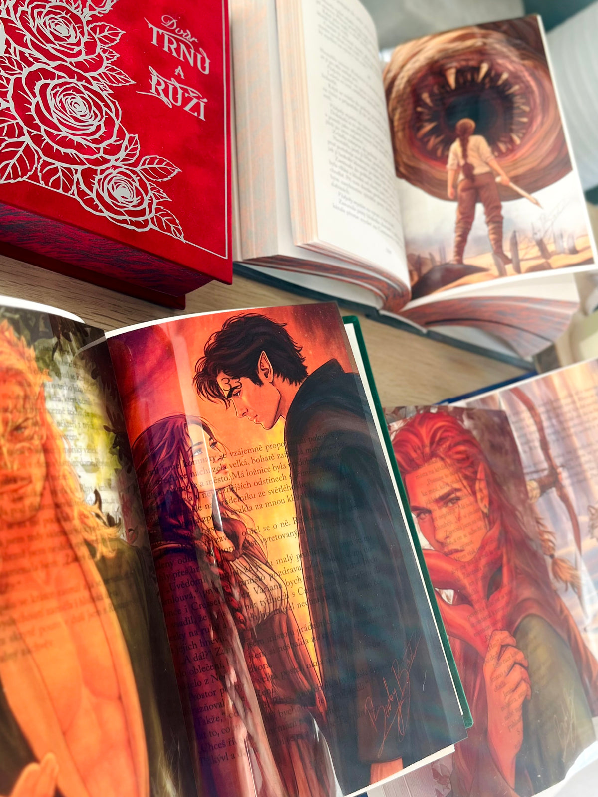 Set 5 knižních overlayů - Dvůr trnů a růží | ACOTAR
