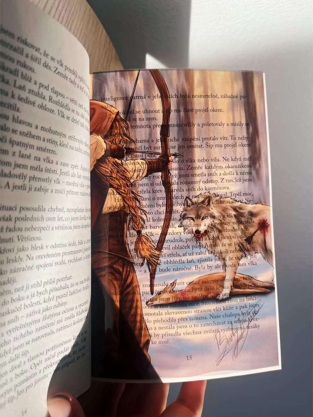 Set 5 knižních overlayů - Dvůr trnů a růží | ACOTAR