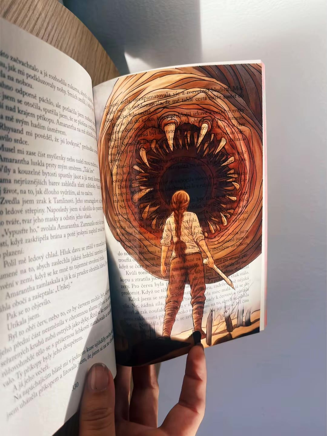 Set 5 knižních overlayů - Dvůr trnů a růží | ACOTAR